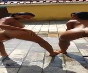 Putaria amadora com uma putonas gostosas