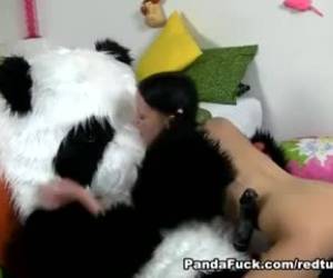 Passionate panda fuck with a slim teen with long pigtails and a tight pink twat