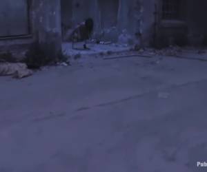 BACK TO THE STREETS