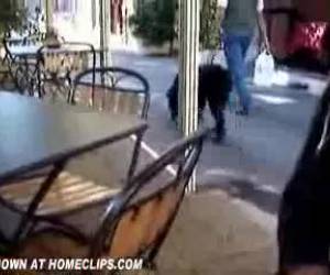 Exhibiéndose en la terraza del café