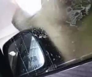 Chica lavando su coche